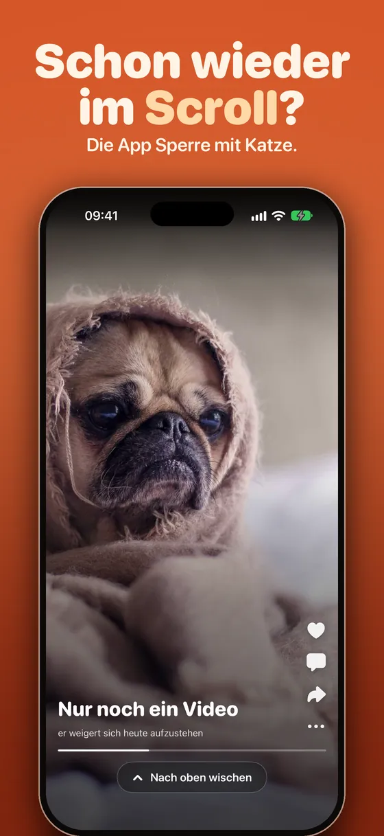 Pawwall: schon wieder im Scroll? Die App Sperre mit Katze