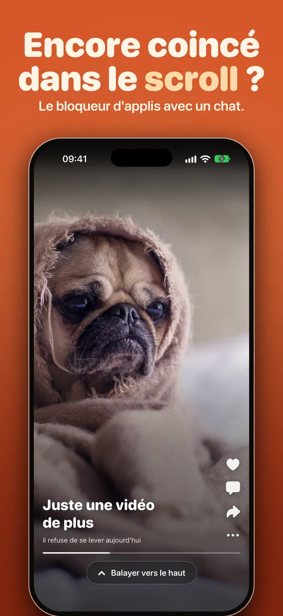 Pawwall : encore coincé dans le scroll ? Le bloqueur d'applis avec un chat